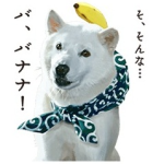 期間限定スタンプ白戸家新CMシリーズ