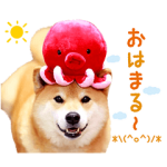 公式スタンプ::柴犬まる