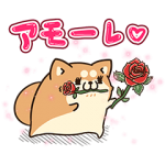 限定無料スタンプ::アモーレ♡ボンレス犬＆ボンレス猫