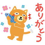 隠し無料スタンプ::カテエネコ スタンプ