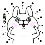 限定無料スタンプ::fracora×うさぎ100パーセント