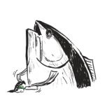 人気スタンプ特集::クロマグロ