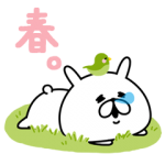 人気スタンプ特集::ゆるうさぎの春。