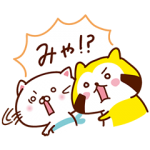 限定無料スタンプ::限定!だらりぐまラスカル×うるにゃん♪