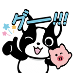 隠し無料スタンプ::バフェとPIGの毎日がエブリデイ