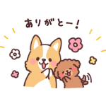 隠し無料スタンプ::まるまるコーギーと仲間たち！
