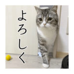 人気スタンプ特集::もち様スタンプ