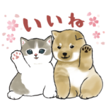 限定無料スタンプ::しば×にゃん & LINEスコア