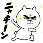 限定無料スタンプ::目ヂカラ☆にゃんこ × LINE FX