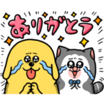 限定無料スタンプ::まめきちまめこ×ミュゼプラチナム