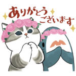 限定無料スタンプ::サメにゃん × 高島屋オンラインストア