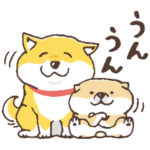 限定無料スタンプ::しばんばん×コレイヨ