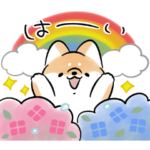 限定無料スタンプ::毎日使える♪ほんわかしばいぬ