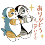 限定無料スタンプ::サメにゃん × Yahoo!ニュース