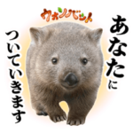 人気スタンプ特集::イッテQ！珍獣スタンプ ～タスマニア島編～