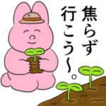 限定無料スタンプ::【無料】なおにゃん×NatureBank