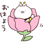 限定無料スタンプ::【無料】うさまる × LINE NEWS